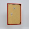 Effect kunststof lijst Art rood 25x70 cm ontspiegeld glas