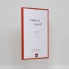 Effect kunststof lijst Art rood 25x70 cm ontspiegeld glas