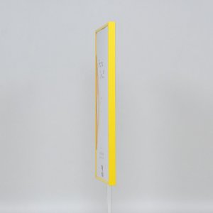 Effect kunststof lijst Art geel 35x100 cm ontspiegeld glas