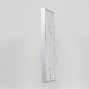 Effect aluminium fotolijst Quadro 62x93 cm zilver met ontspiegeld glas