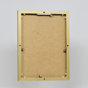 Effect aluminium fotolijst Quadro 61x91 5 cm goud ontspiegeld glas