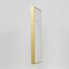 Effect aluminium fotolijst Quadro 61x91 5 cm goud ontspiegeld glas