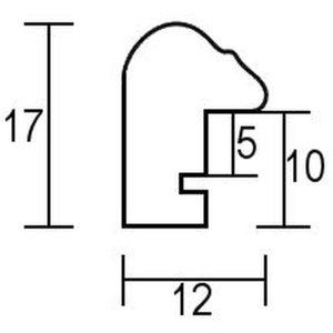 Effect houten lijst profiel 23 rood 25x50 cm antireflexglas