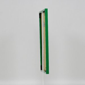 Effect kunststof lijst Art groen 23x70 cm acrylglas