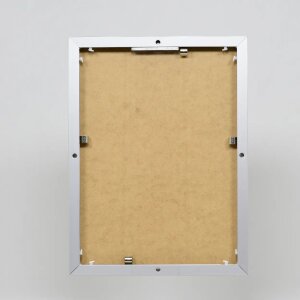 Effect aluminium fotolijst Quadro 25x50 cm zilver acrylglas