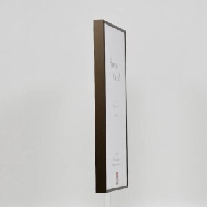 Effect aluminium fotolijst Quadro 35x100 cm brons acrylglas