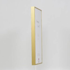 Effect aluminium fotolijst Quadro 45x60 cm goud acrylglas