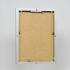Effect Quadro aluminium fotolijst 50x100 cm zilver voor acrylglas