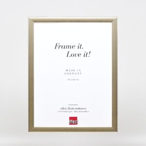 Effect Holz-Foto-omlijsting Profil 43 zilver 20x30 cm kunstglas