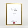 Effect Houten Foto-Rahmen Profil 43 Goud 25x70 cm