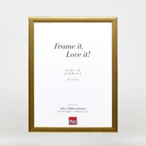 Effect Holz-Bilderrahmen Profil 43 goud 35x50 cm kunstglas