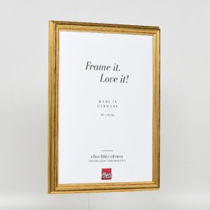 Effect Holzrahmen Profil 44 goud 18x32 cm houten fotolijst met kunstglas