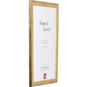 Effect houten fotolijst Profil Top Pro goud 25x80 cm kunstglas