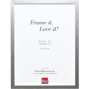 Effect Holz-Spiegel Profil 58 zilver 40x60 cm