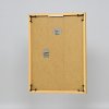 Effect kunststof lijst Art goud 35x50 cm museumglas