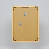 Effect kunststof lijst Art goud 35x50 cm museumglas