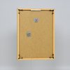 Effect kunststof lijst Art goud 35x50 cm museumglas