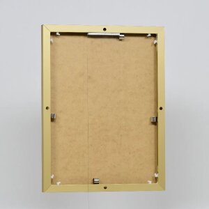Effect aluminium fotolijst Quadro 23x70 cm goud museumglas