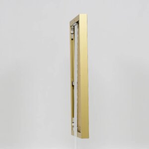 Effect aluminium fotolijst Quadro 23x70 cm goud museumglas