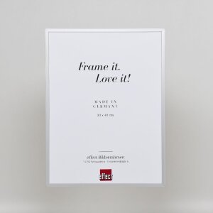 Effect Aluminium fotolijst Serie 2 Museumsglas zilver 50x75 cm