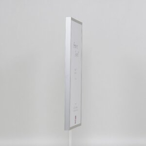 Effect Aluminium fotolijst Serie 2 Museumsglas zilver 50x75 cm