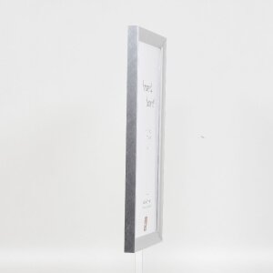 Effect Houten Fotolijst Profiel 41 Zilver 20x25 cm Museumsglas