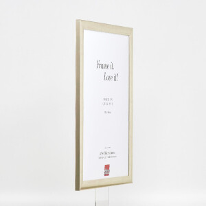 effect Holz-Bilderrahmen Profil 43 zilver 50x60 cm Museumsglas