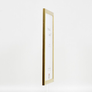 Effect Houten Fotolijst Profil 43 goud 59,4x84,1 cm met Museumsglas