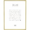 Deknudt Aluminium Fotolijst S027 goud 30x40 cm