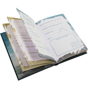 Goudboekje Vriendenboek Piraten! 15x21 cm 88 geïllustreerde paginas