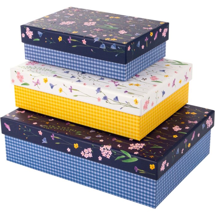 Gouden Boek Karton Set Weide Wonderen 3 Dozen