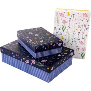 Gouden Boek Karton Set Weide Wonderen 3 Dozen