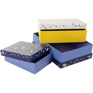 Gouden Boek Karton Set Weide Wonderen 3 Dozen