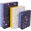 Gouden Boek Karton Set Weide Wonderen 3 Dozen