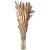 Clayre & Eef 5DF0002 Gedroogde bloem 25x8x100 cm Beige