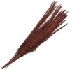 Clayre & Eef 5DF0004 Gedroogde bloemen 10x5x85 cm Rood