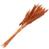 Clayre & Eef 5DF0013 Gedroogde bloemen Bamboe 90 cm (10) Oranje