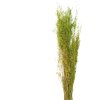 Clayre & Eef 5DF0016 Gedroogde bloemen 90 cm (50 gr) Groen
