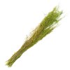 Clayre & Eef 5DF0016 Gedroogde bloemen 90 cm (50 gr) Groen