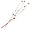 Clayre & Eef 5DF0030 Gedroogde bloemen 80 cm (3) Wit - Bruin