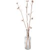 Clayre & Eef 5DF0030 Gedroogde bloemen 80 cm (3) Wit - Bruin