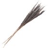 Clayre & Eef 5DF0035 Gedroogde bloemen 100 cm (10) Grijs