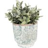Clayre & Eef 6CE1574S Decoratie Bloempot Ø 15x14 cm Groen - Beige