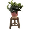 Clayre & Eef 6H2216 Bloembak tafel Ø 18x21 cm Bruin