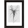 Walther Houten lijst Ilo Acrylglas 10x15 cm tot 30x40 cm