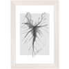Walther Houten lijst Ilo Acrylglas 10x15 cm tot 30x40 cm