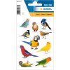 HERMA 15477 Sticker Vogels Veelkleurig Decoratieve vogelset