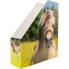 HERMA 19718 Tijdschriftenmap A4 karton paard design handvat gat
