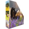 HERMA 19718 Tijdschriftenmap A4 karton paard design handvat gat