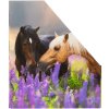 HERMA 19718 Tijdschriftenmap A4 karton paard design handvat gat